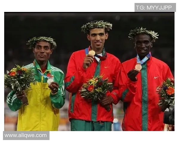 《追逐绿茵梦想 足球黑人球星的奋斗与荣耀之路》