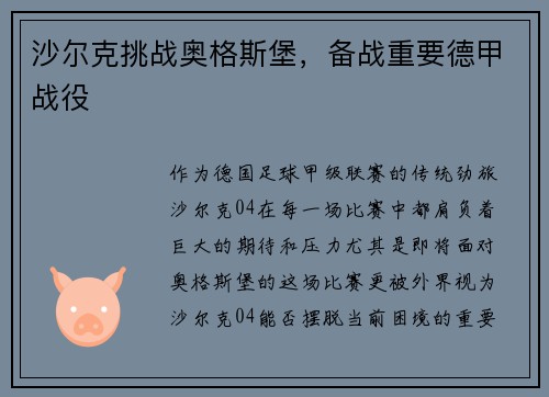 沙尔克挑战奥格斯堡，备战重要德甲战役